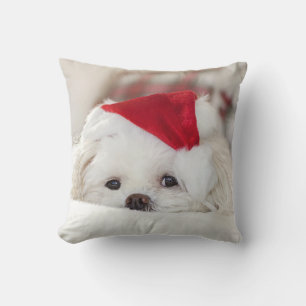 Cute White Dog in een Rode Kerstmis Pet Kussen