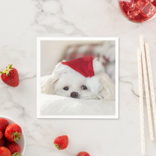 Cute White Dog in een Rode Kerstmis Pet Servet