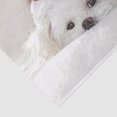 Cute White Dog in een Rode Kerstmis Pet Tissuepapier (Detail)