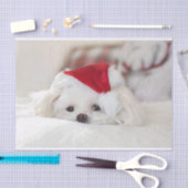 Cute White Dog in een Rode Kerstmis Pet Tissuepapier (Craft)