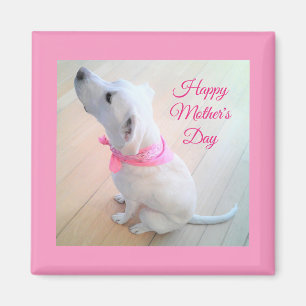 Cute White Dog Wearing Pink Scarf Moederdag Magneet
