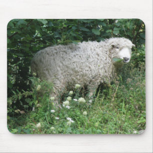 Cute White Fluffy Sheep Eating Mousepad Muismat