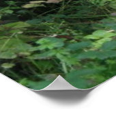 Cute White Fluffy Sheep Eating Print (Hoek)