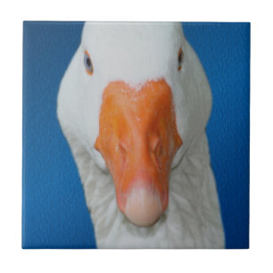 Cute White Goose Natuur Tegeltje