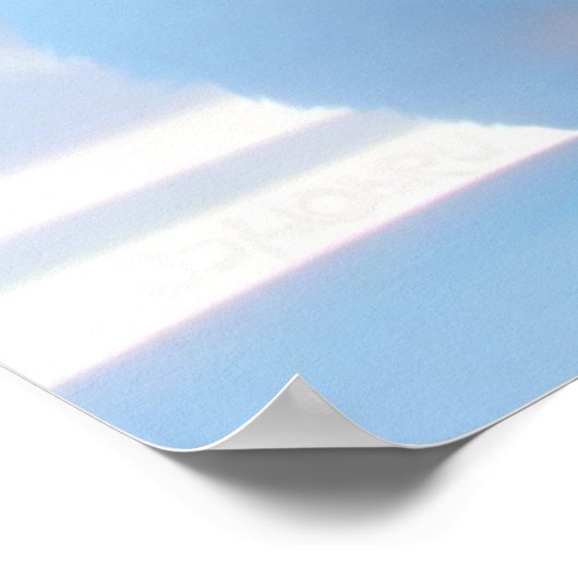 Cute White Kitten Poster (Hoek)