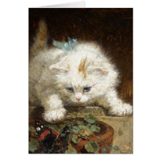 Cute White Kitten van Ronner-Knip