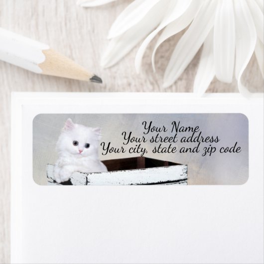 Cute White Persian Kitten Etiket (Insitu)