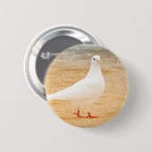 Cute White Pigeon Bird Ronde Button 5,7 Cm (Voorkant /achterkant)