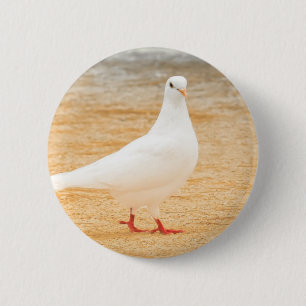 Cute White Pigeon Bird Ronde Button 5,7 Cm