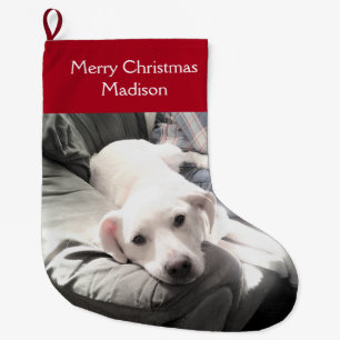 Cute White Puppy Dog met papa op Couch Red Large C Grote Kerstsok