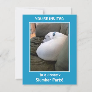 Cute White Puppy Dog Slumber Party Blue Invitation Feestdagenkaart