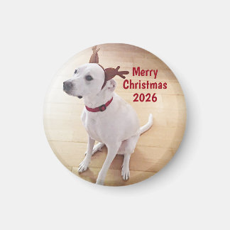 Cute White Reindeer Dog Photo Merry Christmas Magneet
