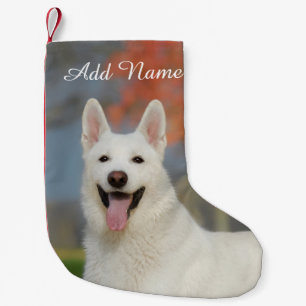 Cute White Swiss Shepherd Dog Foto - Name Kleine Kerstsok