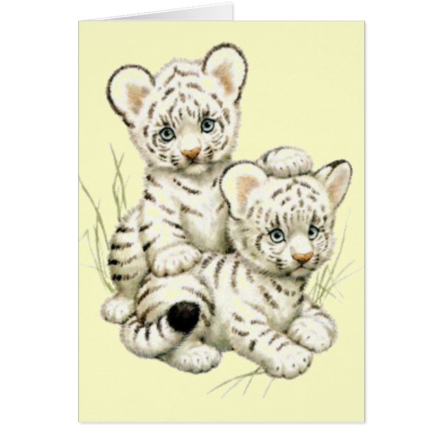 Cute White Tiger Cubs (Voorkant)