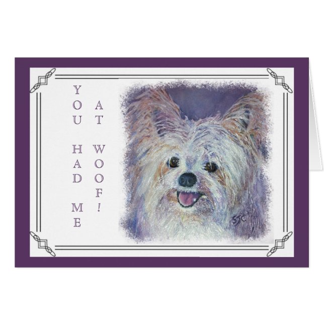 CUTE WHITE YORKIE MIX (Voorkant Horizontaal)