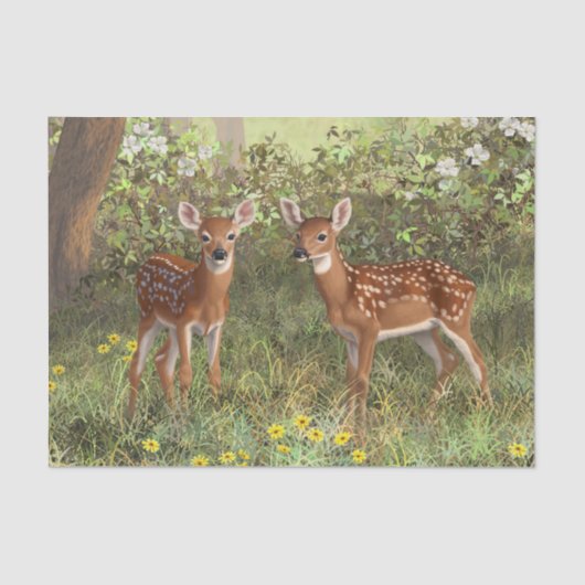 Cute Whitetail Deer Twin Fawns Tissuepapier (Voorkant)