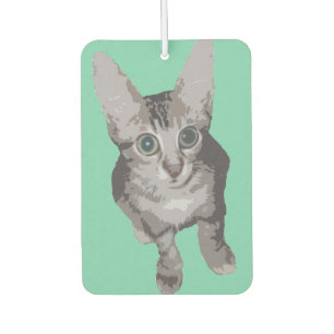 Cute Wide Eyed Cat Luchtverfrisser