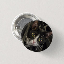 Cute Wide-Eyed Tuxedo Cat Face Ronde Button 3,2 Cm