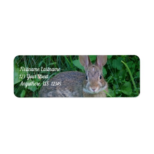 Cute Wild Brown Rabbit Wildlife Adres Etiket (Voorkant)