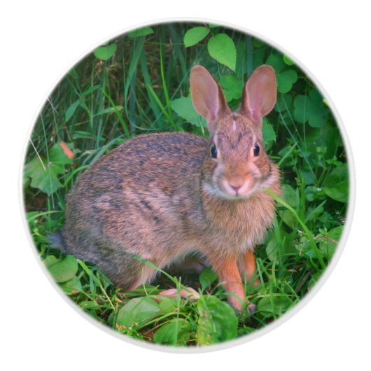 Cute Wild Brown Rabbit Wildlife Keramische Knop (Voorkant)