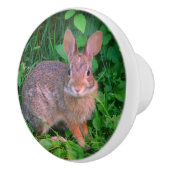Cute Wild Brown Rabbit Wildlife Keramische Knop (Rechts)