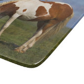 Cute Wild Pony op Dartmoor Snijplank (Hoek)