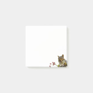 Cute Wild Squirrel op White Post-it Notes