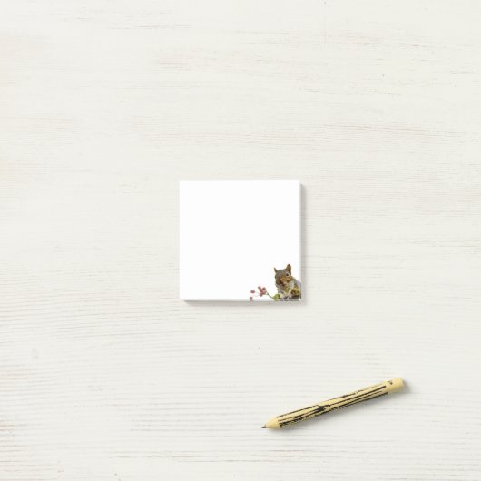 Cute Wild Squirrel op White Post-it Notes (Op bureau)