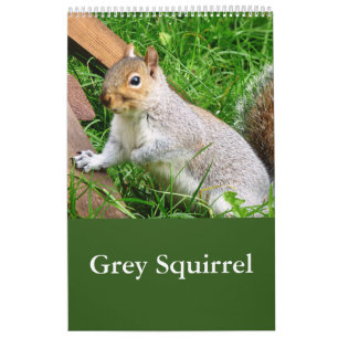 Cute Wilde Grijze Eekhoorn (UK) Agenda Kalender