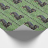 Cute Wire Haire Dachshund Cadeaupapier (Hoek)