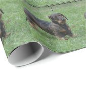 Cute Wire Haire Dachshund Cadeaupapier (Rol Hoek)