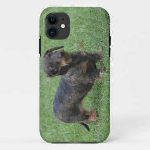 Cute Wire Haire Dachshund iPhone 11 Hoesje