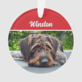 Cute Wirehair Pointer Dog Holiday Christmas Photo Ornament