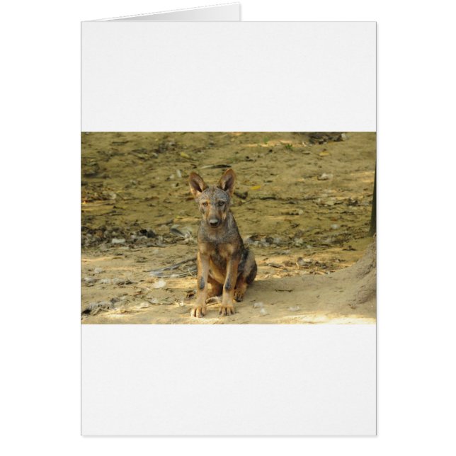 Cute Wolf Cub (Voorkant)