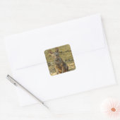 Cute Wolf Cub Vierkante Sticker (Envelop)