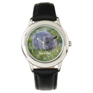 Cute Wombat Animal Australia Eating Grass Horloge