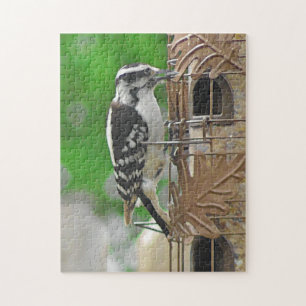 Cute Woodpecker in Birdfeeder Legpuzzel