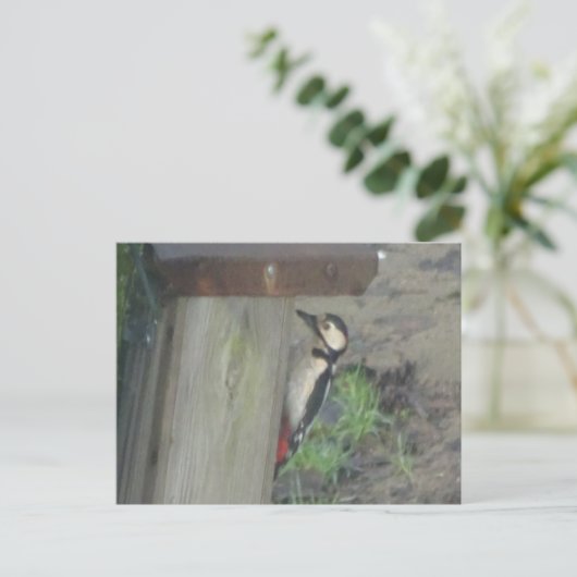 Cute Woodpecker op Nest Box DIY Briefkaart (Staand voorkant)