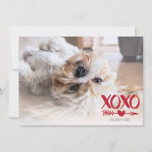 Cute XOXO Coeur Saint Valentin Carte photo