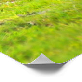 Cute Yearling Foal poster print (Hoek)