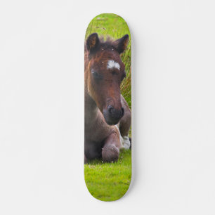 Cute Yearling Foal skateboard dek