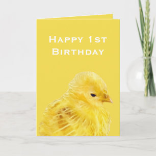 Cute yellow baby Chick 1st Happy Birthday Kaart