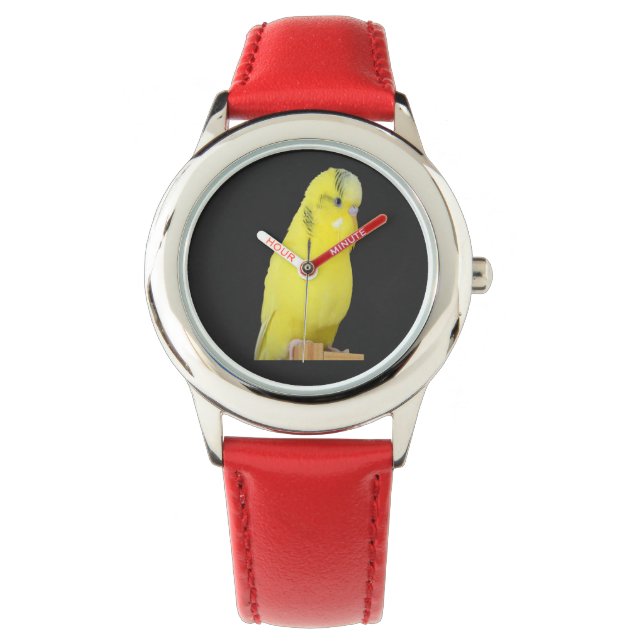 cute yellow Budgie  Horloge (Voorkant)