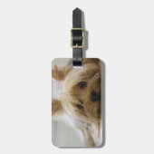 Cute Yorkie Bagagelabel (Voorkant verticaal)