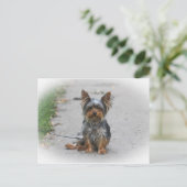 Cute Yorkie Briefkaart (Staand voorkant)