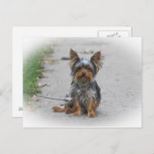 Cute Yorkie Briefkaart (Voorkant / Achterkant)