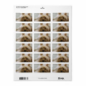 Cute Yorkie Etiket (Full Sheet)