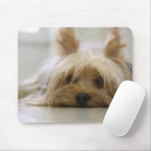 Cute Yorkie Muismat (Met muis)