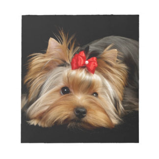 Cute yorkie notitieblok
