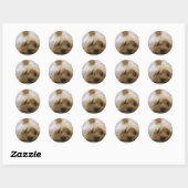 Cute Yorkie Ronde Sticker (Vel)